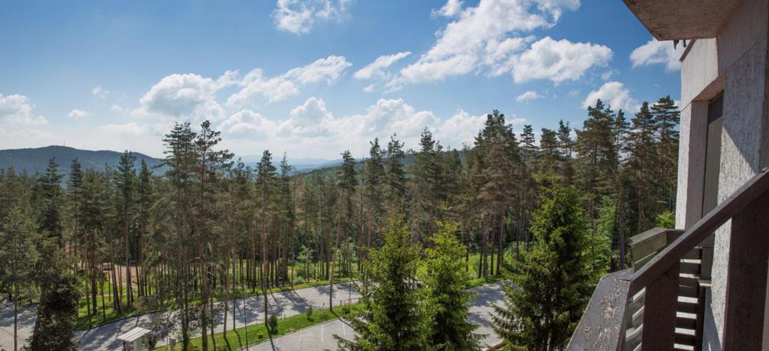 Eco Hotel Zdravetz Zar-Kalojan Extérieur photo